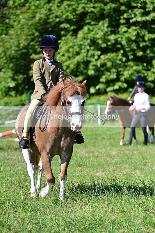 WJ7_0364 - Class 8 First Rally Pony
