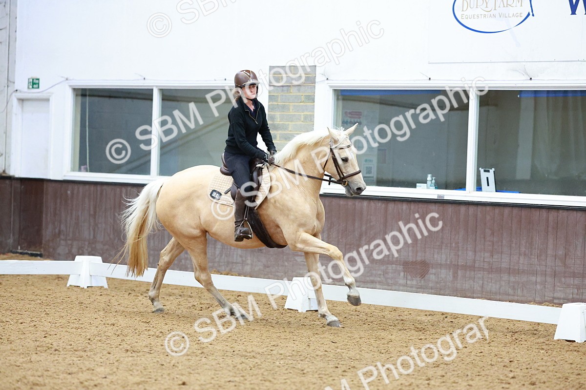 1I0A0641 - Class 3-6 - Prelim 1-Novice 2