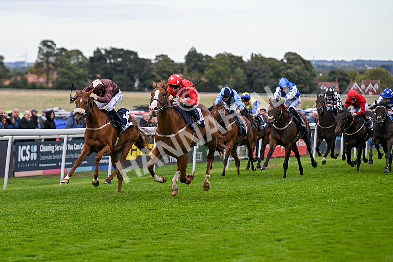 160926-Race 4-Woodvale-0649 - Race 4 3.48pm EBF Restricted Maiden Stakes