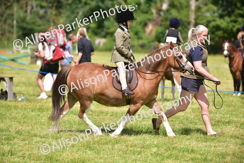 20260614-1154 - Class 11a - Lead Rein Pony (Unplaited)