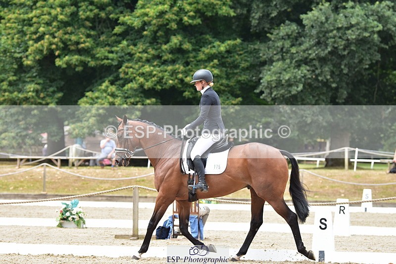 250719A-124104-05662 - 175-Louise.Hendy-Gulf.Of.Poets