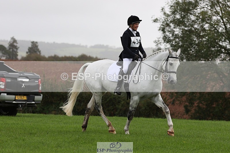 231019-122738-03639 - 434-SPINK.BUSTER-Sue.Parkes-DR