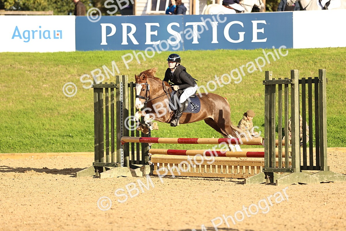 SBM_52017 - J10 - Junior Pony 75cm Championship