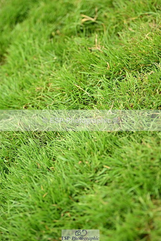 250706A-102220-17279 - Cls 43 Snr 1.30m Grand Prix