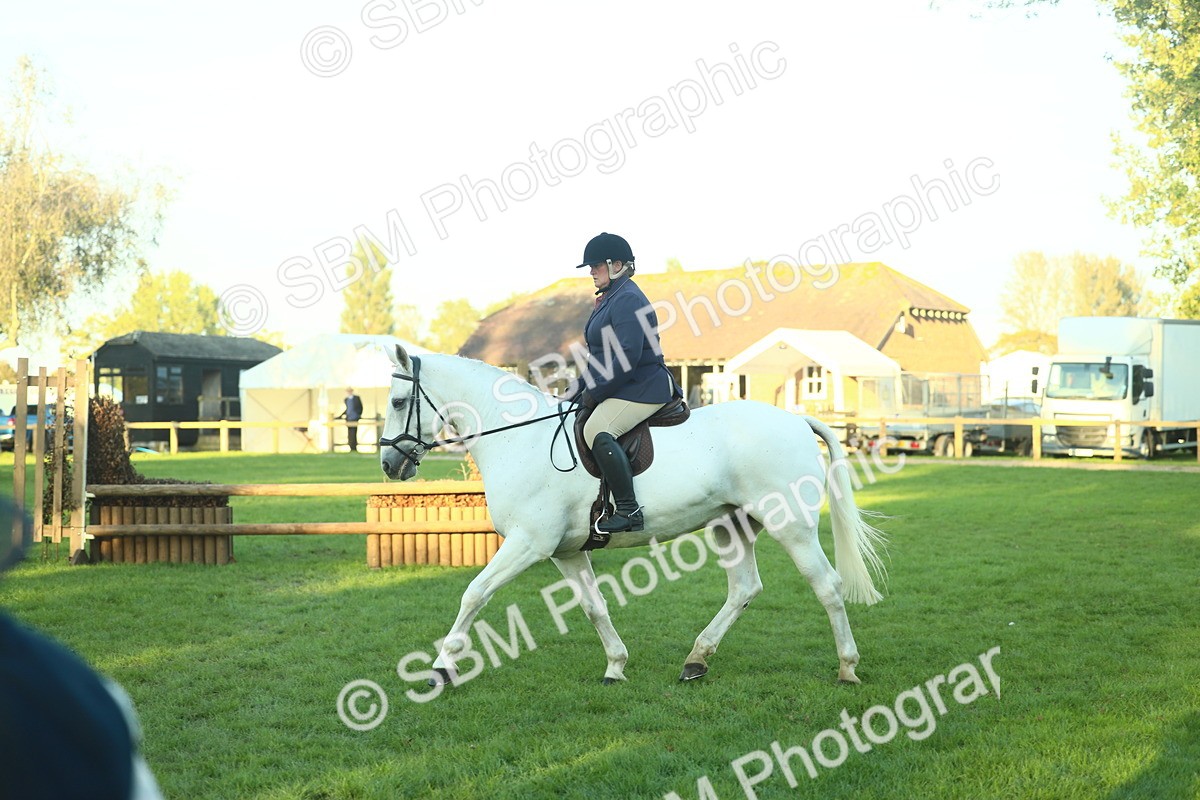 SBM_56428 - S14 - Riding Club Horse