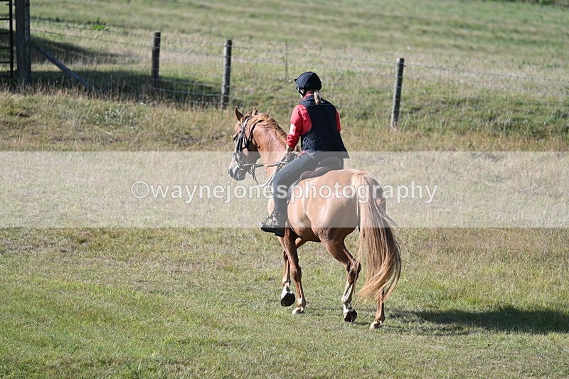 WJ7_3257 - Time 09:42 to 10:02