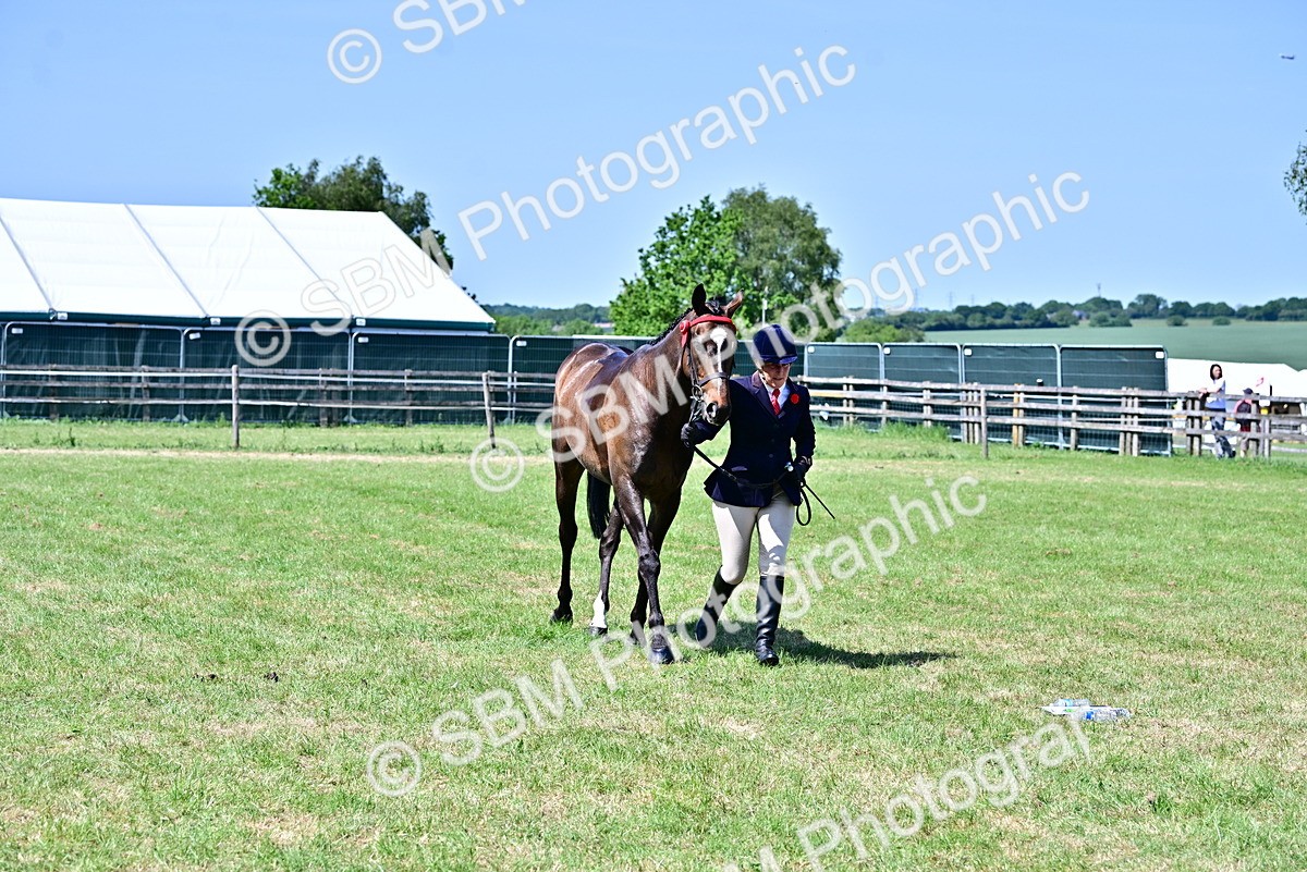 SBM_18177 - Class 99-100 - Retraining of Racehorses Ridden