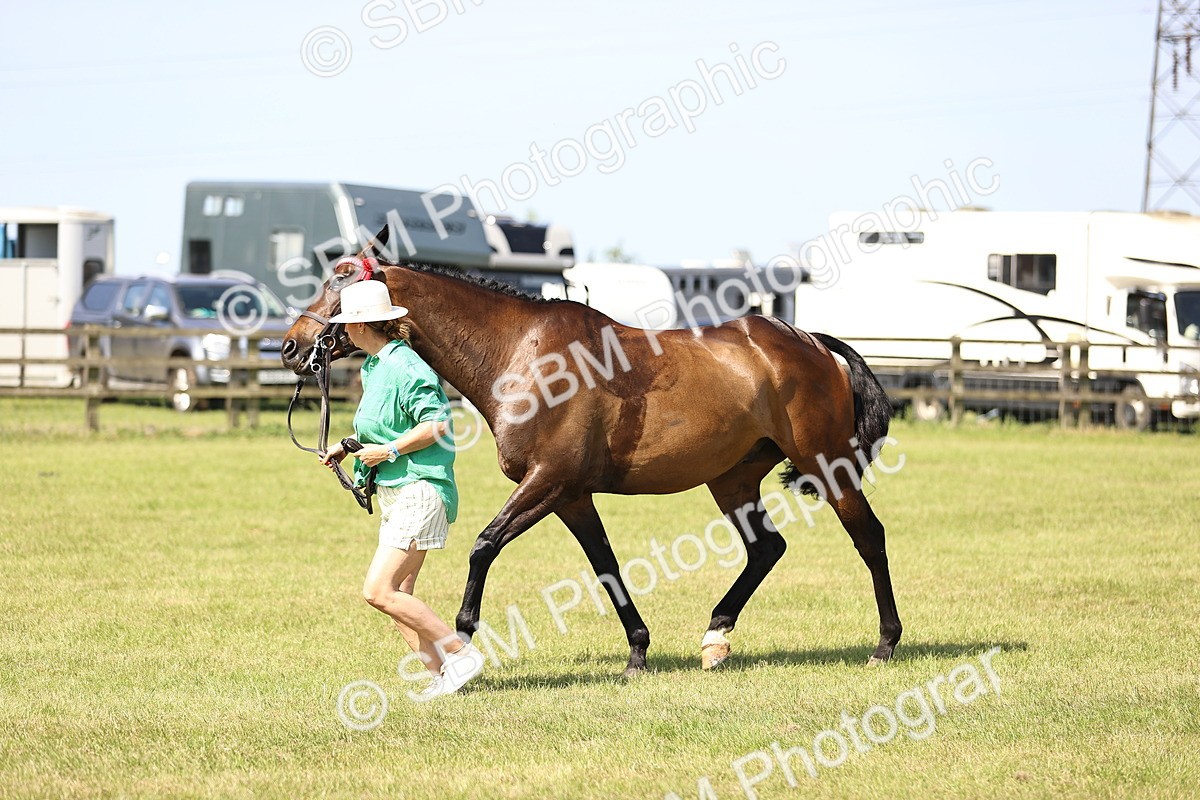 SBM_13027 - Class 75-76 LIHS BSHA Rising Star Hack Riding Horse