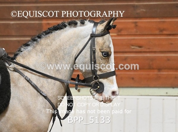 BPP_5133 - CLASS 4 50cm