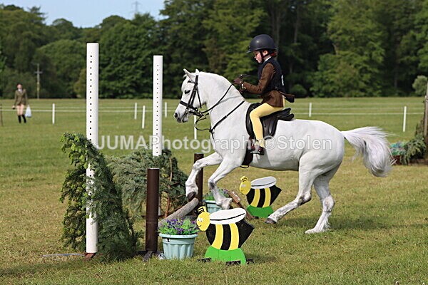IMG_2132 - Working Hunter
