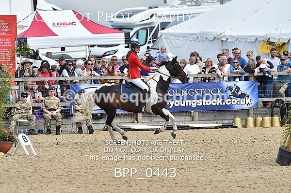 BPP_0443 - RHS 2019 Selection - *Just some random spectator shots so Lucky Dip if you are there!