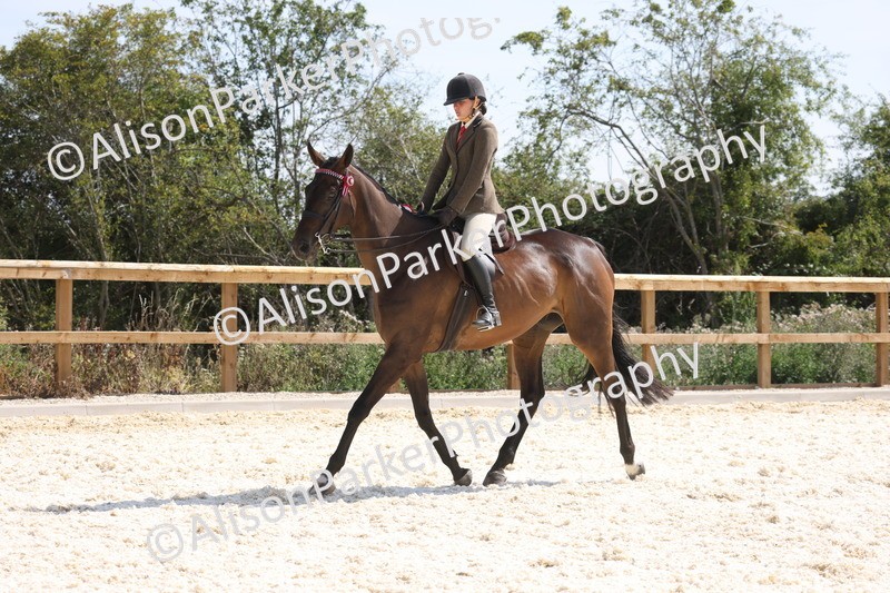 20260802-0753 - Class 8 - Best Riding Horse or Pony