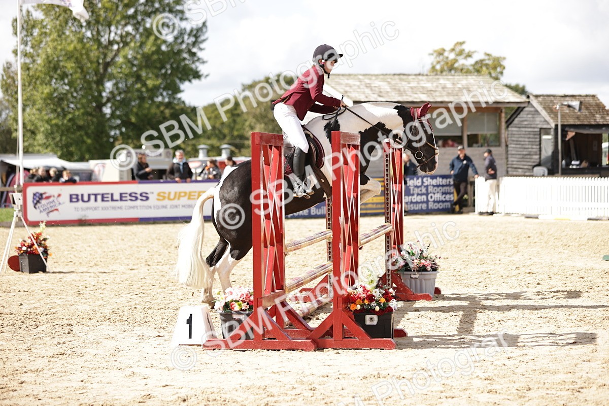 SBM_22394 - J59 - Clear Round 85cm