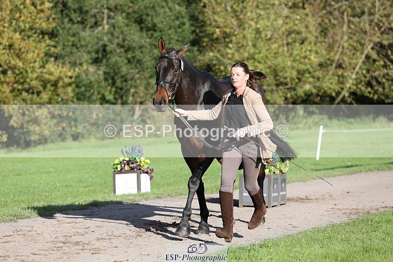 241027-095127-15538 - 444-Tatiana.Wharton-NO.TOMMY.NO