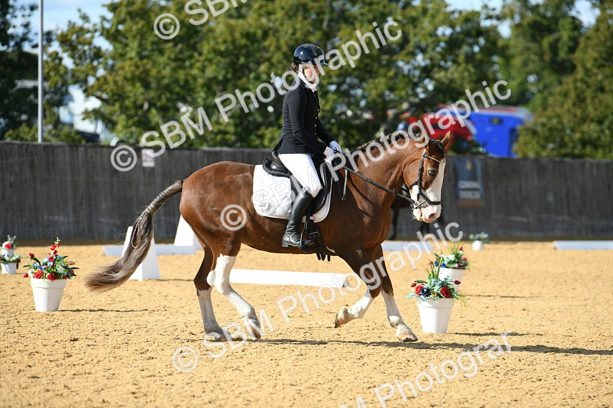 SBM_27093 - D16 - Small Tour Championship - Novice 28