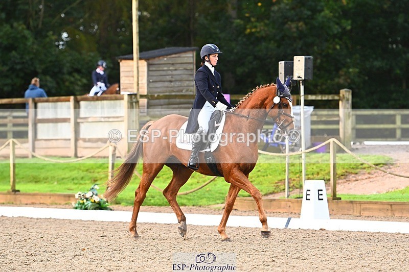 231021-090242-12748 - 322-BALLYBOLGER.LIONMAN-Sarah.Perry-DR