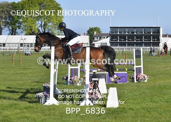 BPP_6836 - CLASS 1 Senior Newcomers/ 1.10m Open