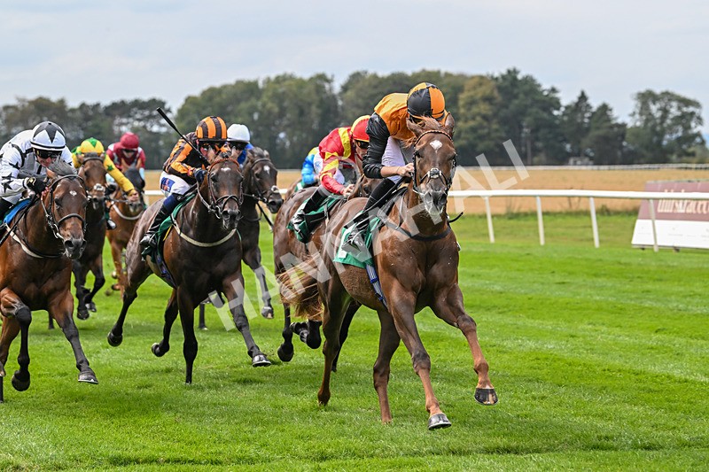 060925-Race 2-Dazzling Haze-4660 - Race 2