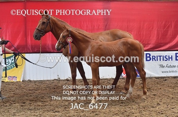 JAC_6477 - 19 Luca