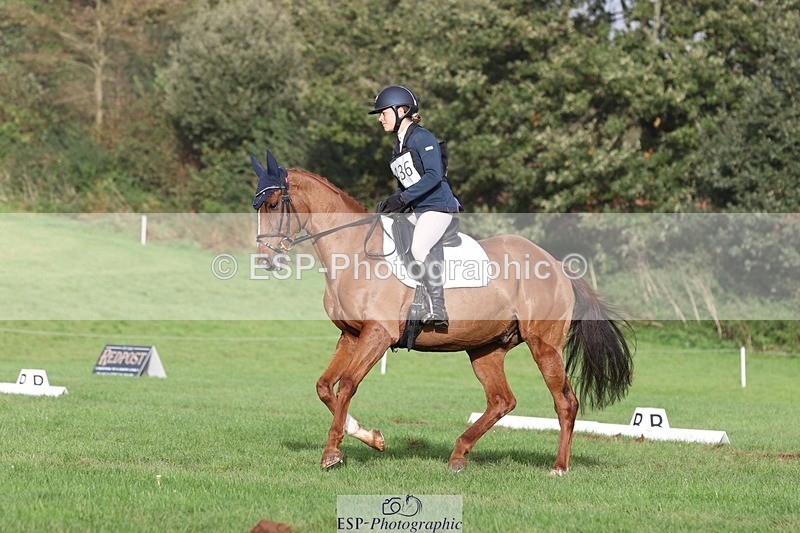 231019-160800-05151 - 436-MASSACHUSETTS-Georgia.Henderson-DR