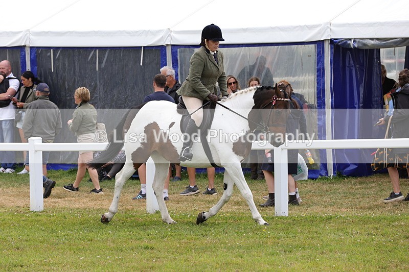 1X9A4501 - Class 34: Veteran Ridden