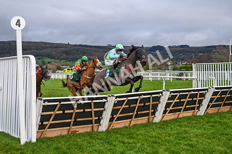 121225-Race 3-Continuance-5028 - Race 3
