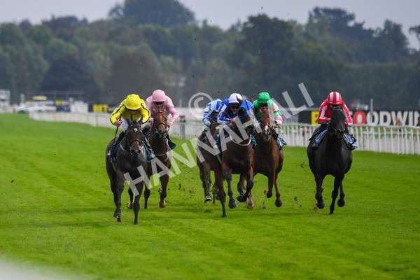 100923-Race 4-Tropical Island-0741 - Race 4 3.15pm Edge Windows Nursery Handicap at York