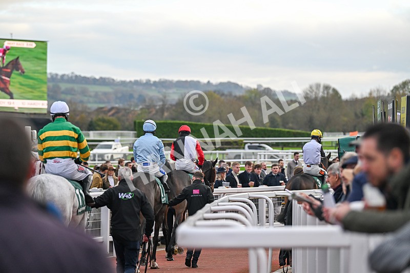 161124-Race 5-GVs-0852