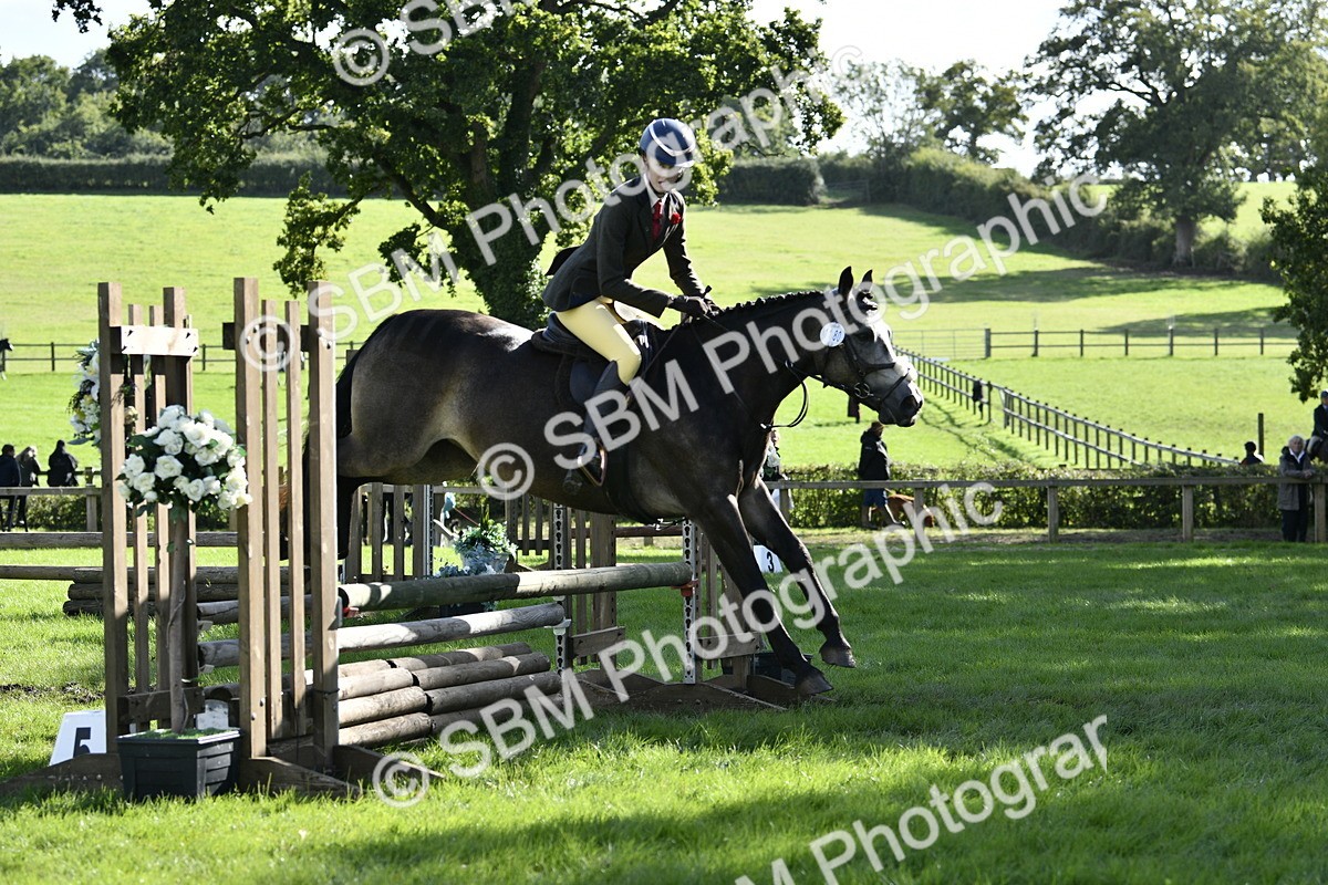 SBM_49988 - S34 - Novice & Newcomers Working Hunter