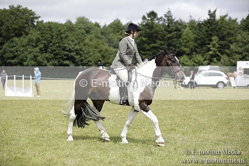 BVR160717-1901 - Ring 1 BVRC Show 16/07/17