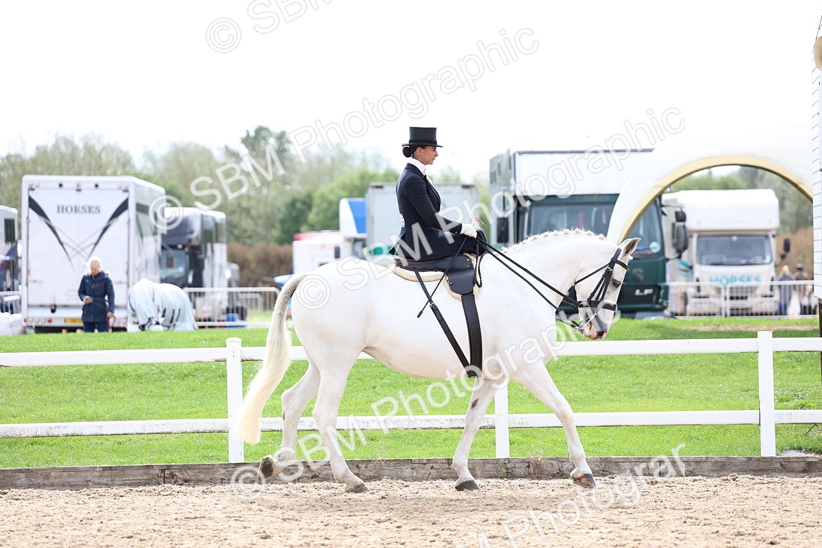 SBM_03375 - Class 24 - SSA Concours d'elegance (any age)