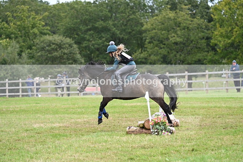 WJ7_7533 - 40cm Time 10:27 to 10:47
