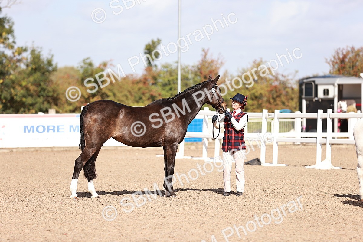 SBM_22784 - Class 705 - IH Combination 65+