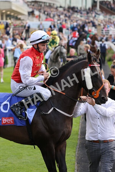 yr18082021r1-38 - Race 1 1.50pm Sky Bet & Symphony Group Stakes