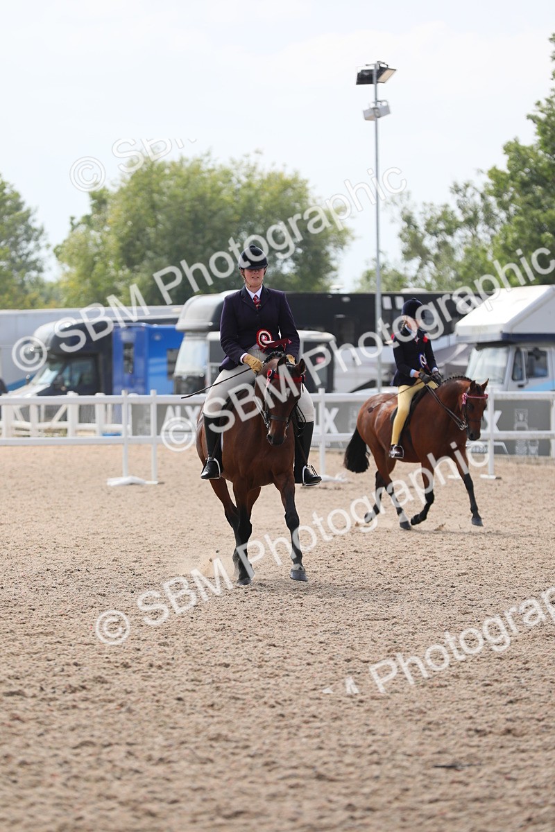 SBM_15620 - Class 311 Ridden Show Pony/ Show Hunter Pony