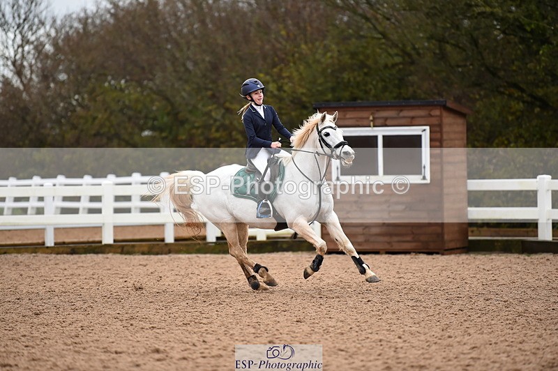 231203A-100316-00266 - Cls 2 British Novice & 80cm Open