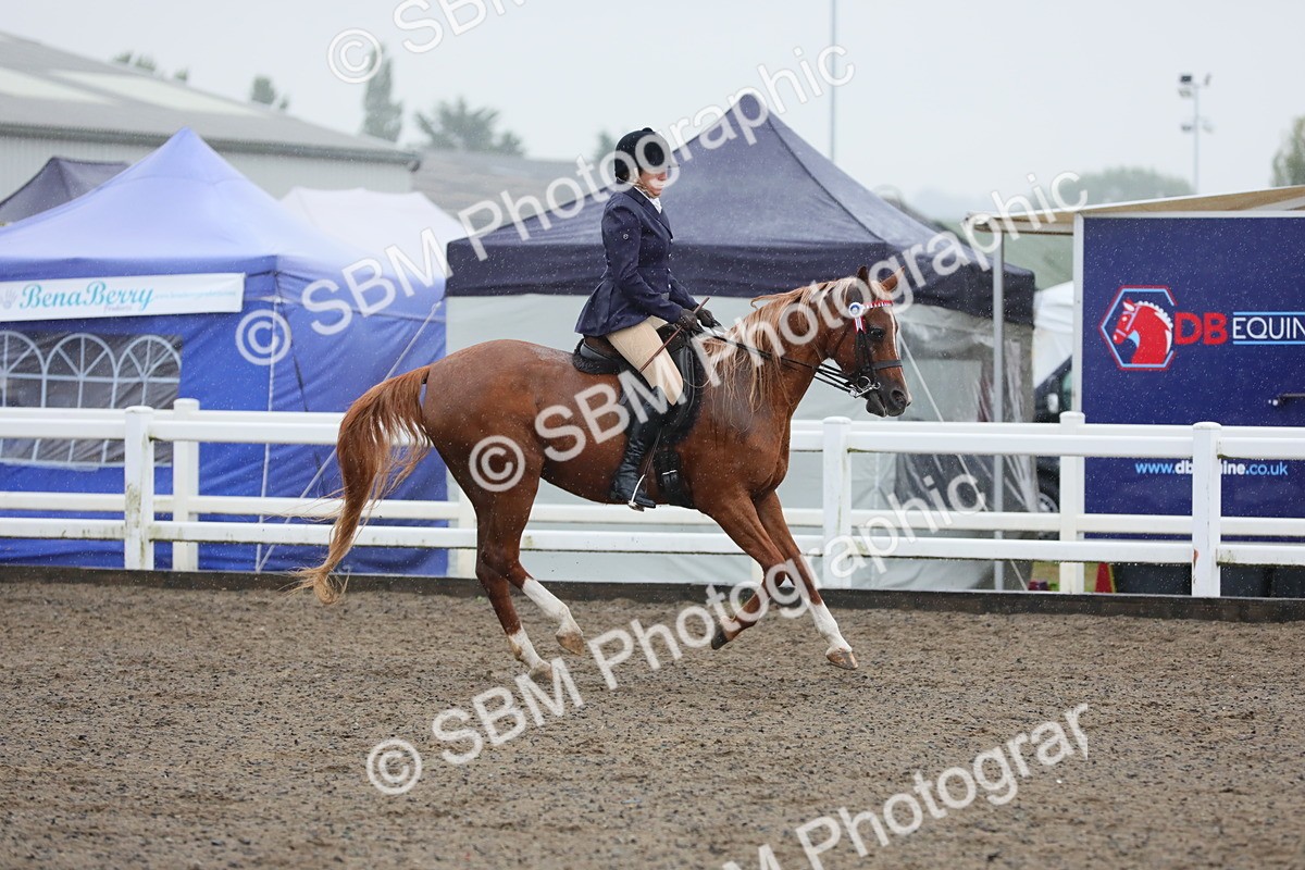 SBM_20365 - Class 803 - Ridden Combination 65+