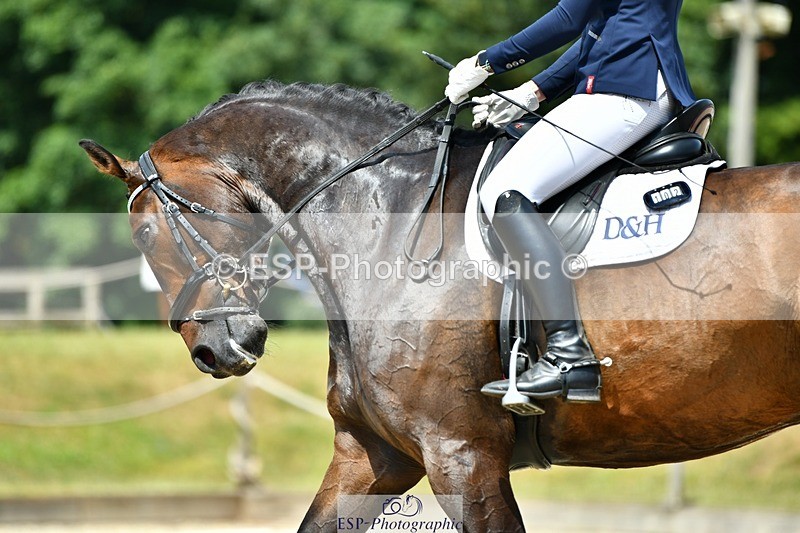 230623-124409-02245 - Cls 4 Novice 37Q 12.45 to End