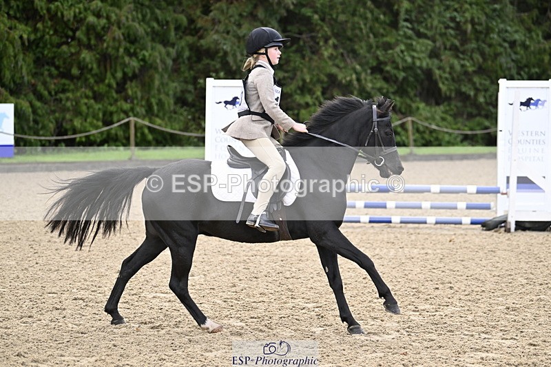 251005A-085315-02880 - Cls 02 GR 50cm