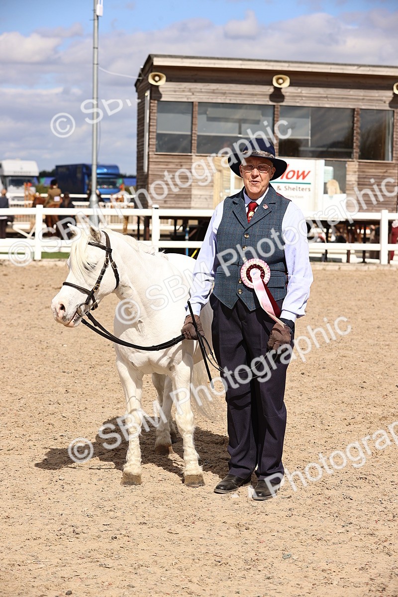 SBM_14229 - Class 415 - Horse-Pony judge would most like to take home (IH or Ridden)