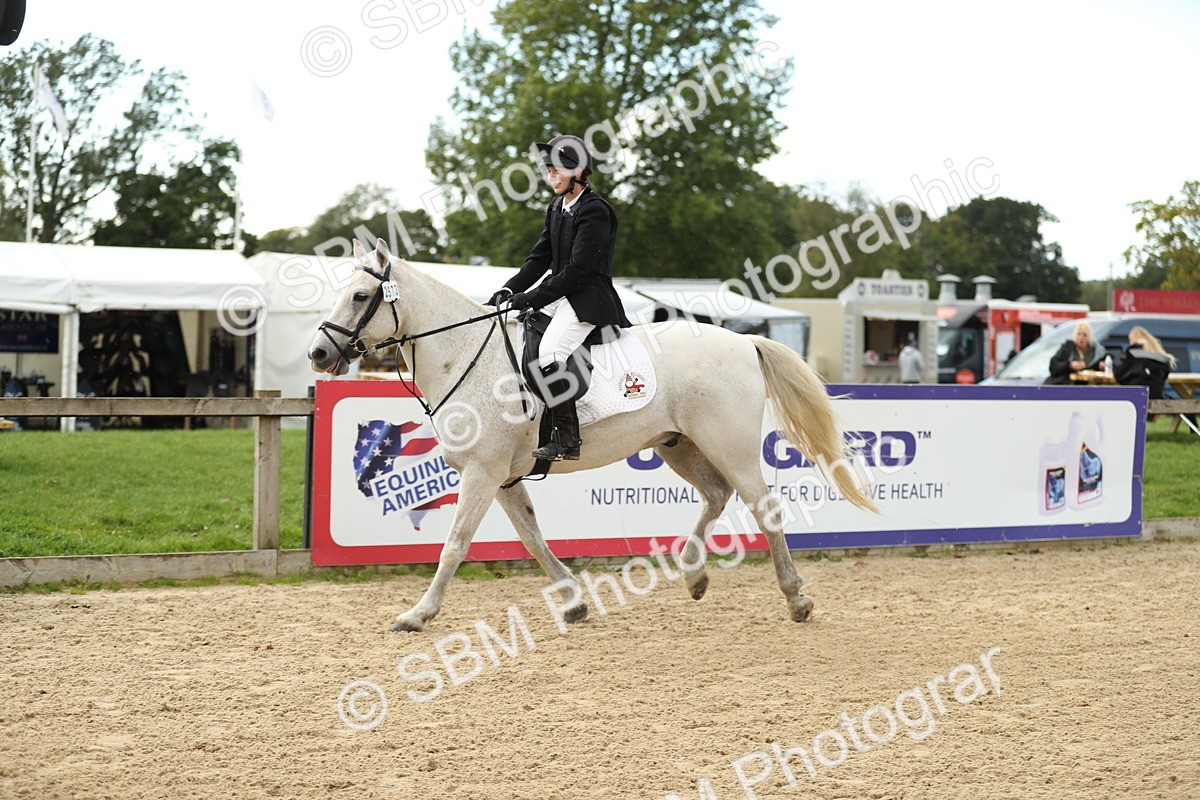 SBM_10858 - J31 - Senior Horse & Pony 75cm Championship