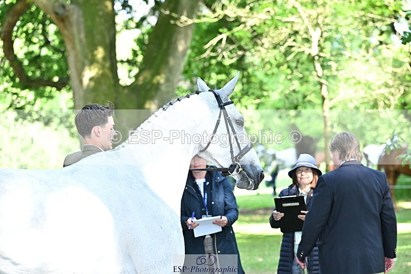 250521A-160950-00952 - C-206-Rowan.Laird-ROYAL.MINT