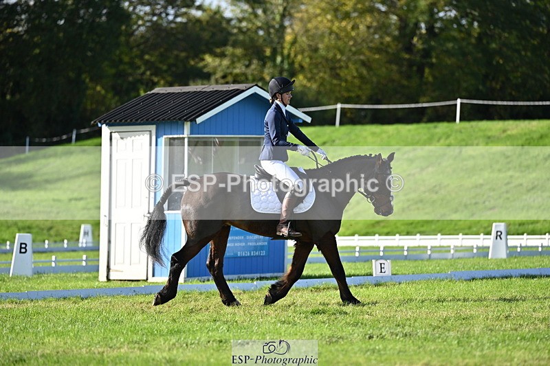 251024A-115504-09466 - F-466-Amber.Golley