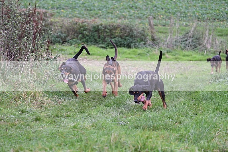 WJ7_8905 - Camera 1 only on this line