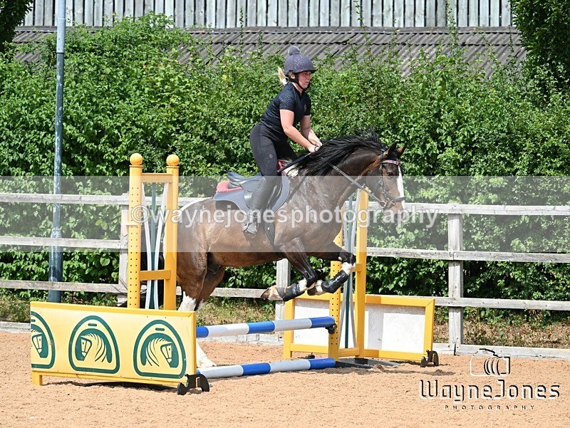 WJ7_6747 - Show Jumping at BCA