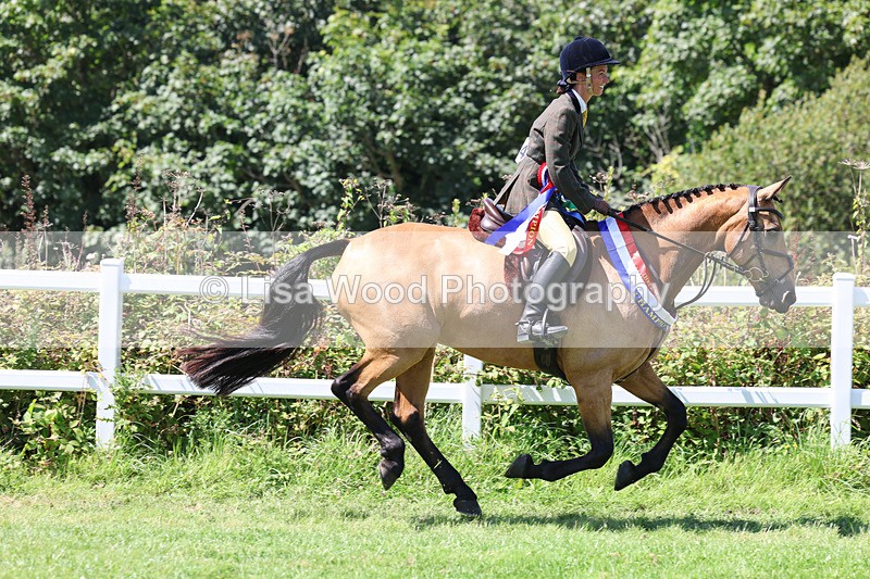 3E7A9351 - Working Hunter Championship