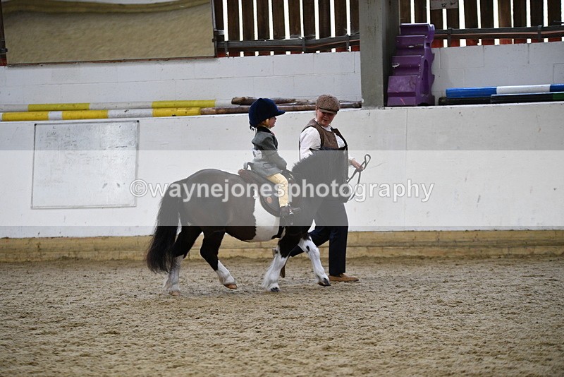 WJ5_6643 - Class 10 Childs Pony