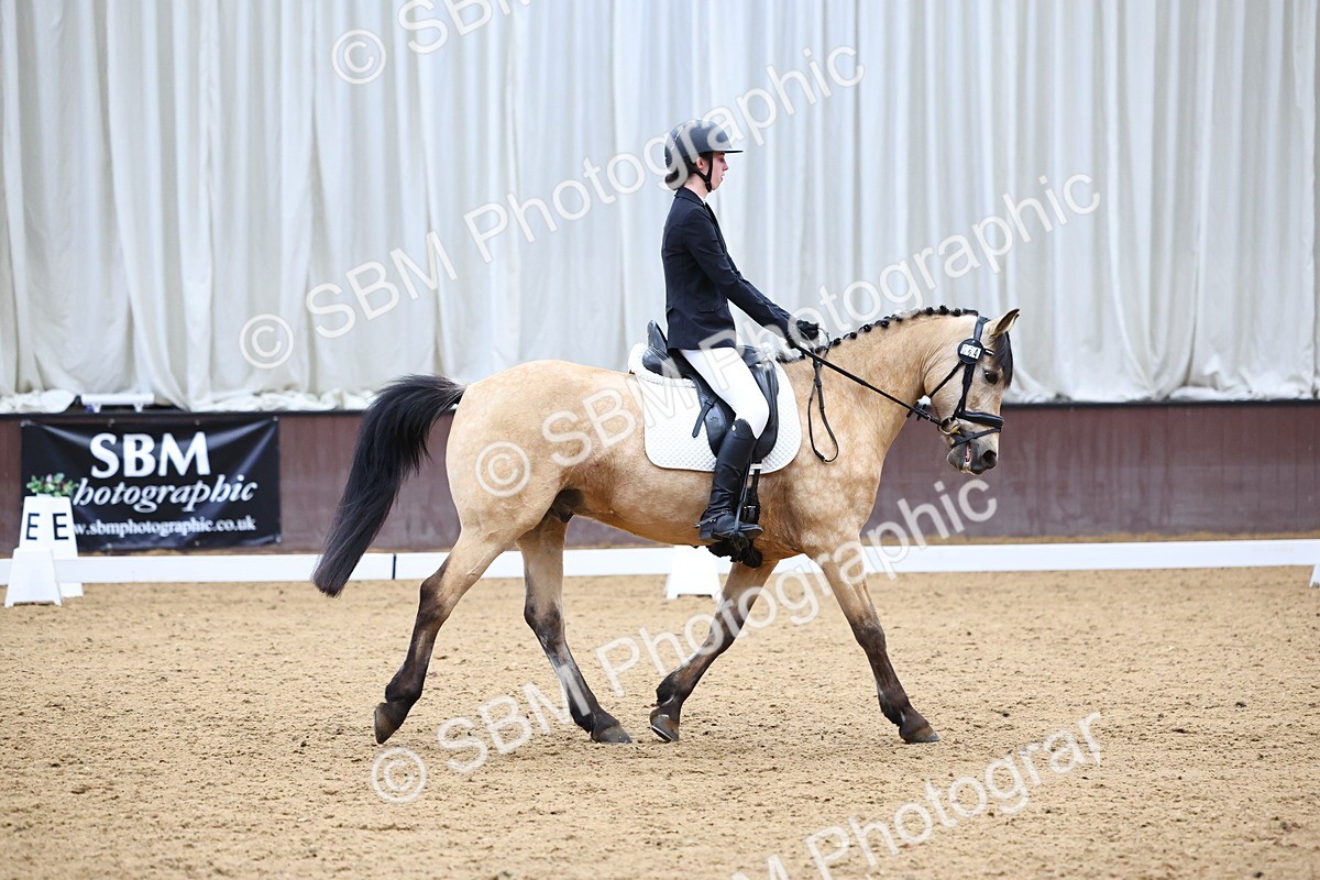 SBM_005423 - Elementary 2