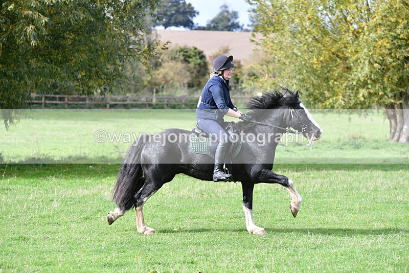 WJ5_0045 - Time 13:25 to 13:58