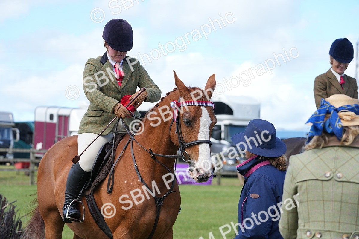 SBM_12965 - Class 99 - RIHS SEIB Working Show Horse